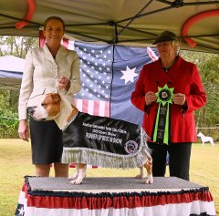 ASTCQ 2025 } Runner Up Best In Show | Judge: Mrs Vicki Yates (QLD)